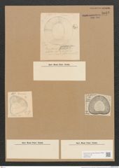 Diatomeae indet. (de-Toni-Nr.: Species 2432 ?) Zeichnungen Sammlung Grunow Nr. 5042 (NHMW-BOT-W0373302)